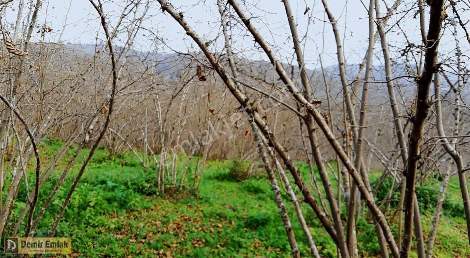 Sakarya Kocaali Satılık Toplu Konut İçin KOCAALİ KARŞI MAH ARSA