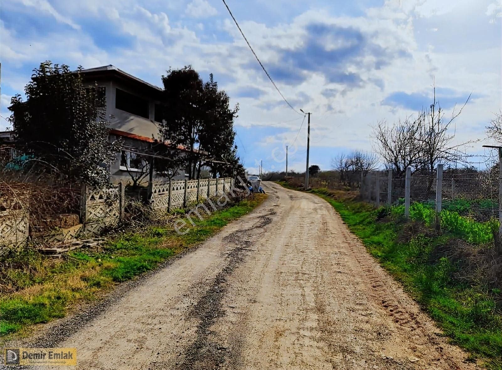 Alandere Mahallesinde Yerleşime Yakın Fındık Bahçesi - Görsel 4