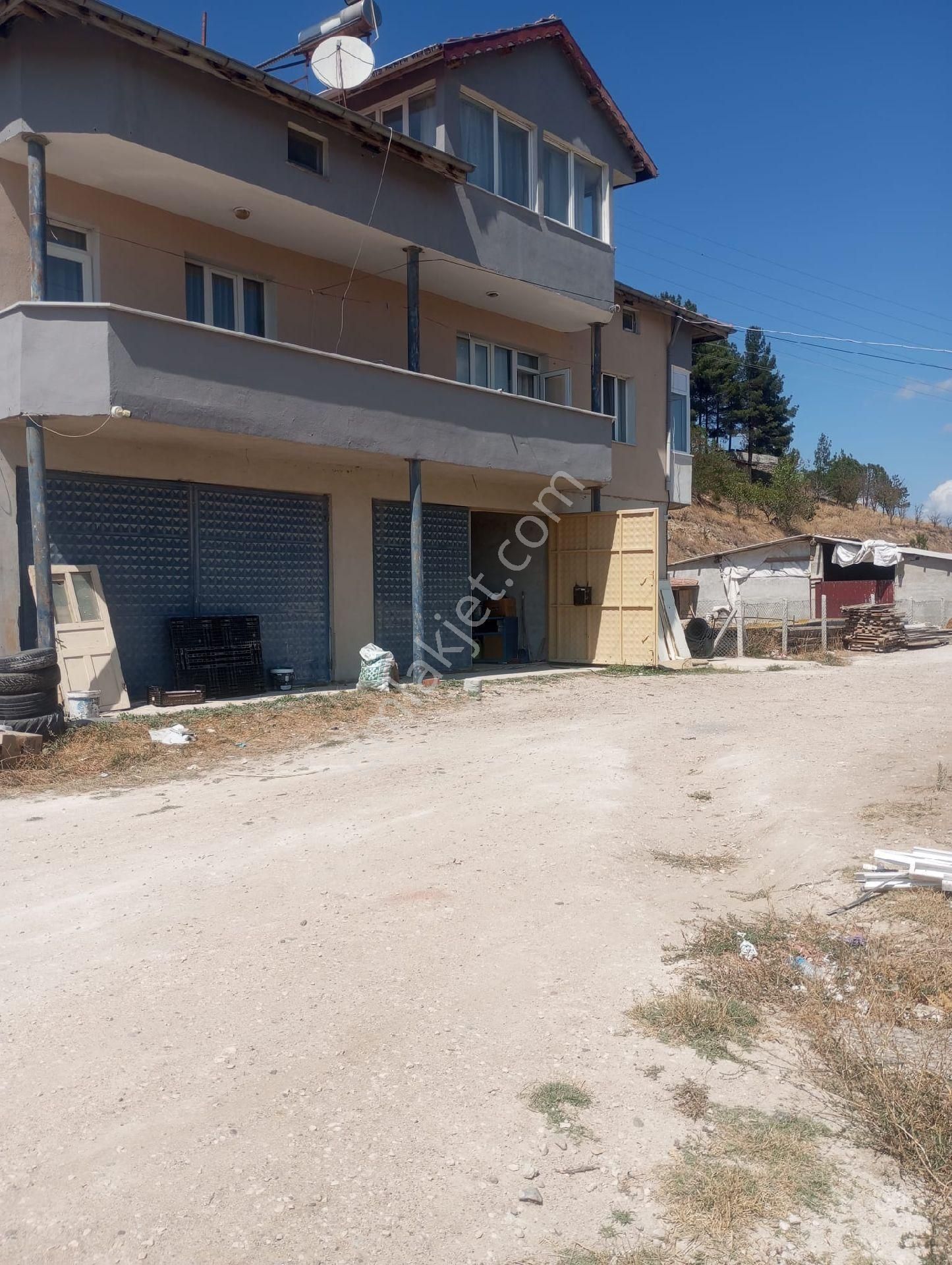 Merzifon Kayadüzü Köyü (Işıklar) Satılık Tarla SULUOVA DA SATILIK 9053 M2 TARLA VE ÜZERİNDE DUBLEX DAİRE