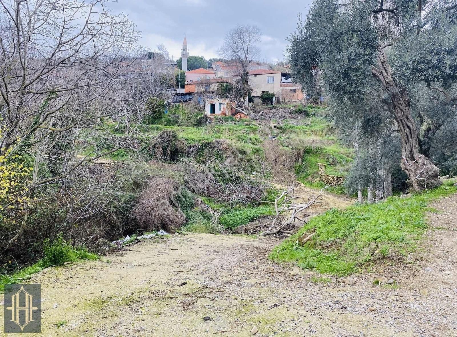 Milas Göldere Satılık Konut İmarlı HARMAYA'DAN GÖLDERE'DE SATILIK KÖY EVİ VE BAHÇESİ