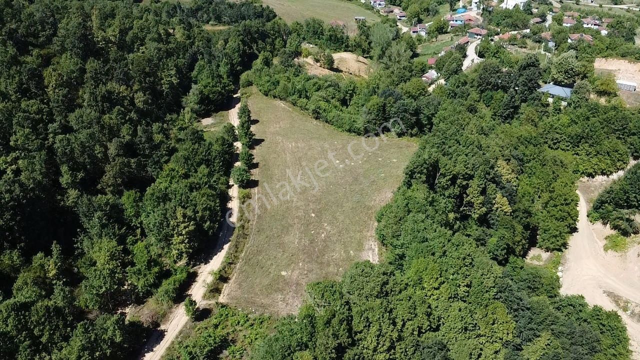 Altınova Örencik Köyü Satılık Tarla  TB Grup'tan Satılık Etrafı Ormanla Çevrili Arazi