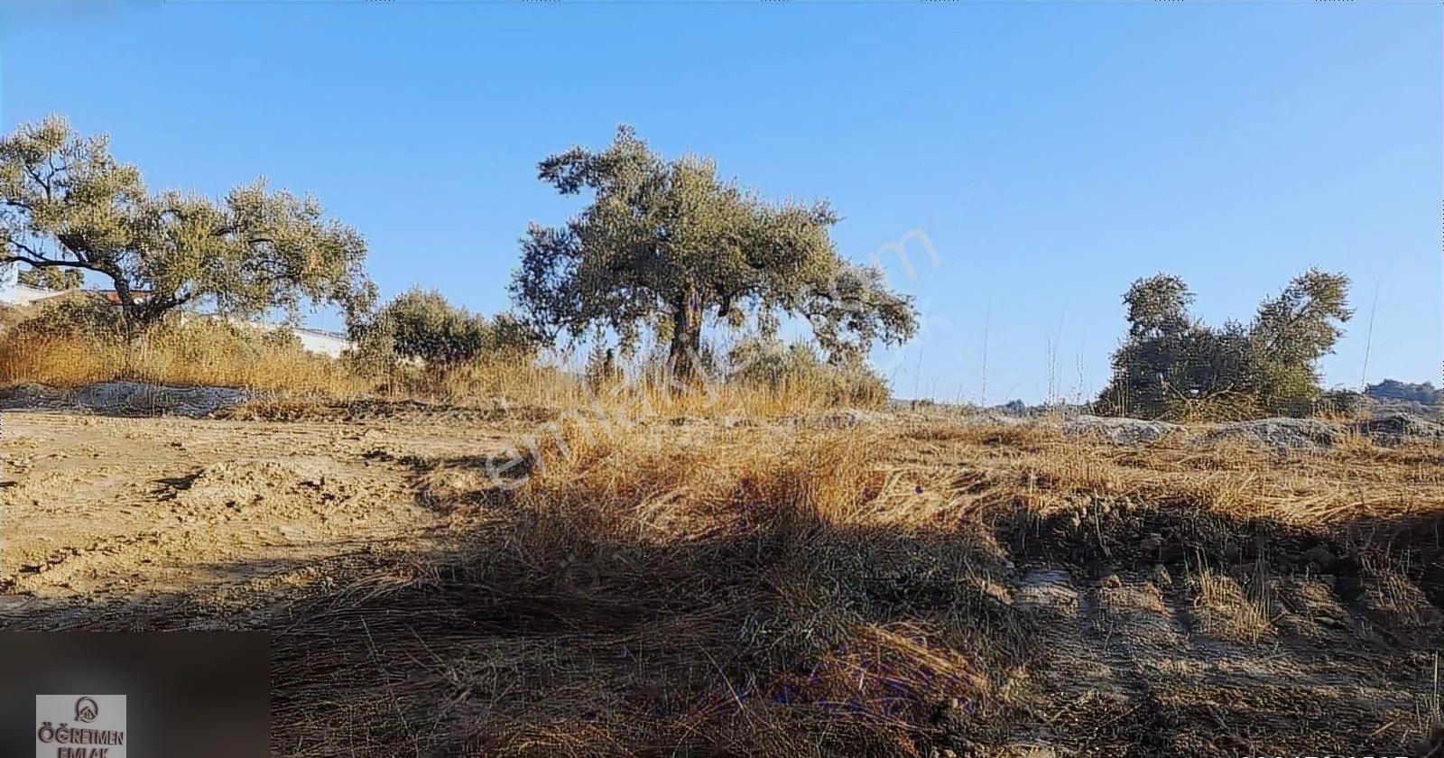 Kuşadası Türkmen Satılık Konut İmarlı ÖĞRETMEN EMLAKTAN TÜRKMEN MAHALLESİNDE VİLLA YAPIMINA UYGUN ARSA