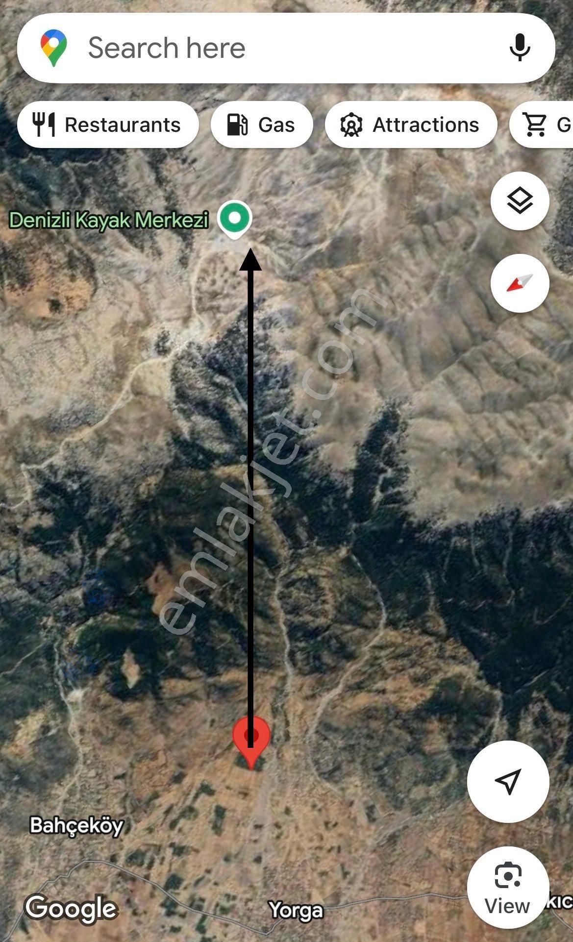 Denizli Kayak Merkezinin Eteklerinde Çam Tarlası