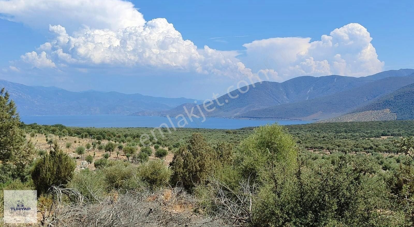 Aydın Didim Akyeniköy Bozseki 2.850 M2 Satılık Arsa Emsalsız - Görsel 8