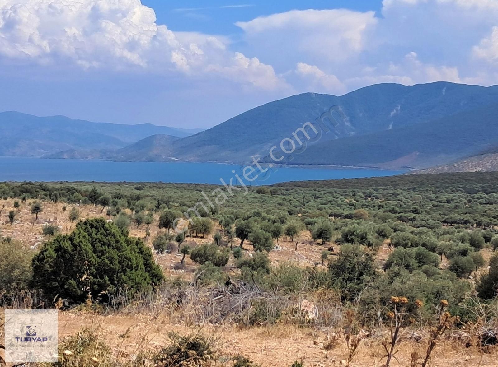 Aydın Didim Akyeniköy Bozseki 2.850 M2 Satılık Arsa Emsalsız - Görsel 10