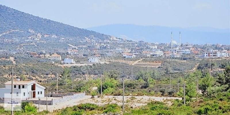 Aydın Didim Akyeniköy Bozseki 2.850 M2 Satılık Arsa Emsalsız - Görsel 14