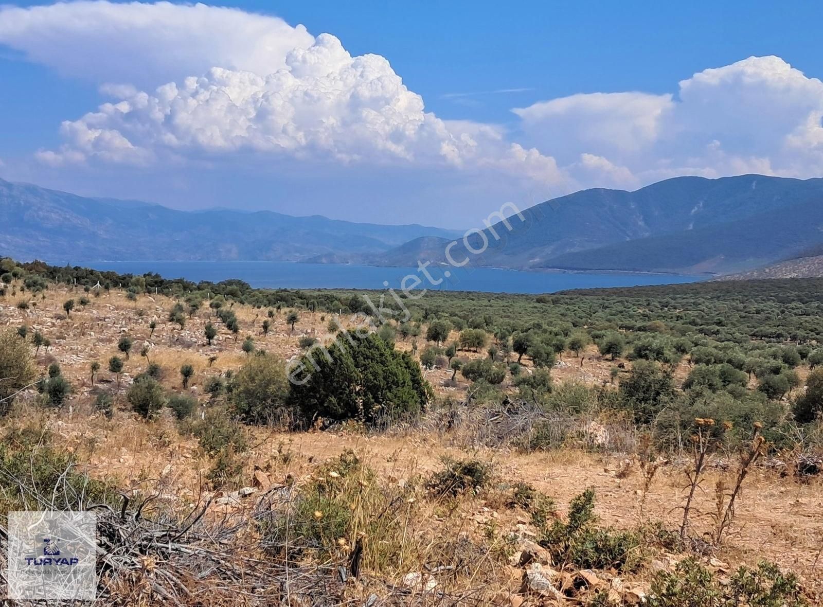 Aydın Didim Akyeniköy Bozseki 2.850 M2 Satılık Arsa Emsalsız - Görsel 5