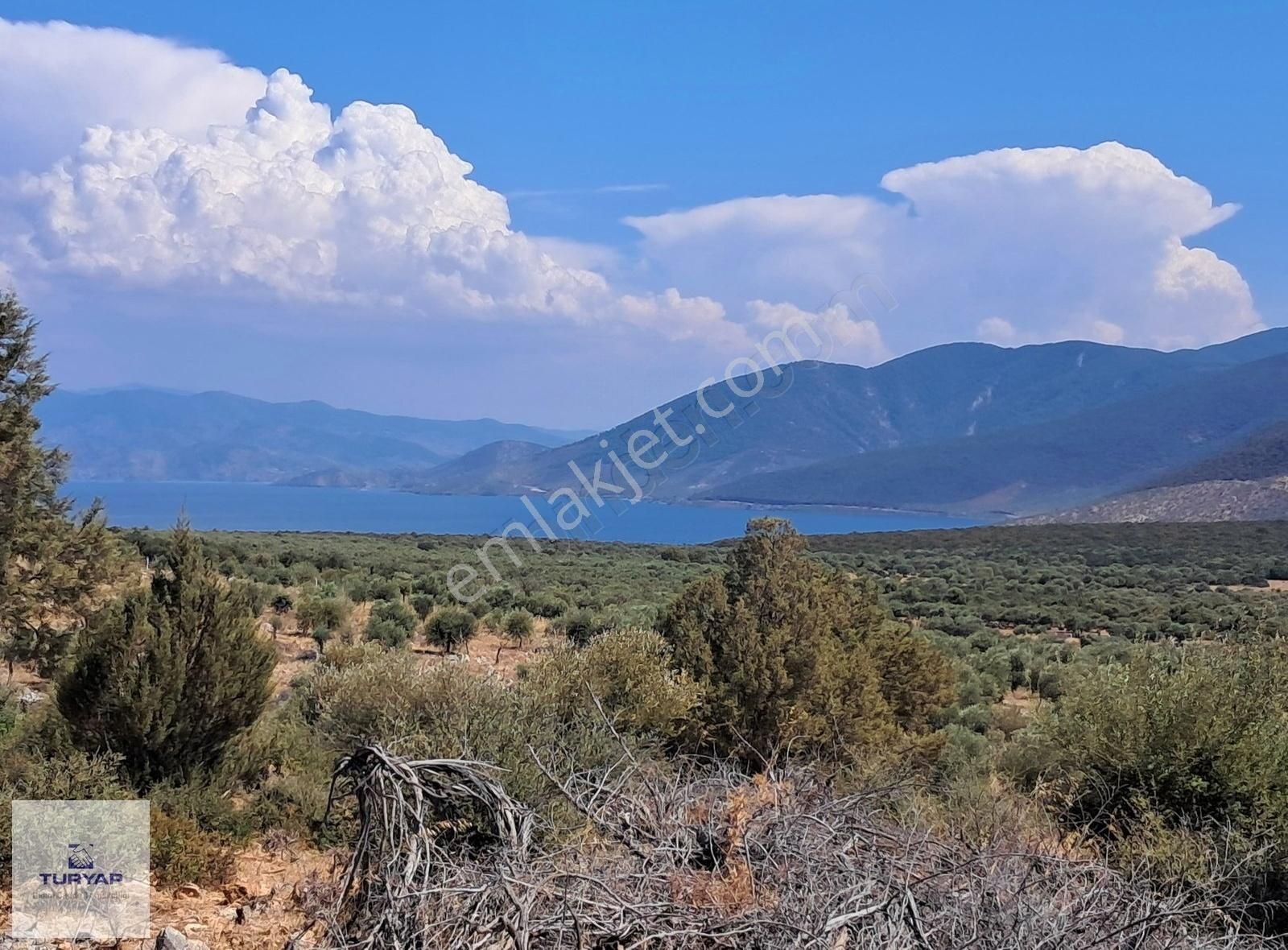 Aydın Didim Akyeniköy Bozseki 2.850 M2 Satılık Arsa Emsalsız - Görsel 12