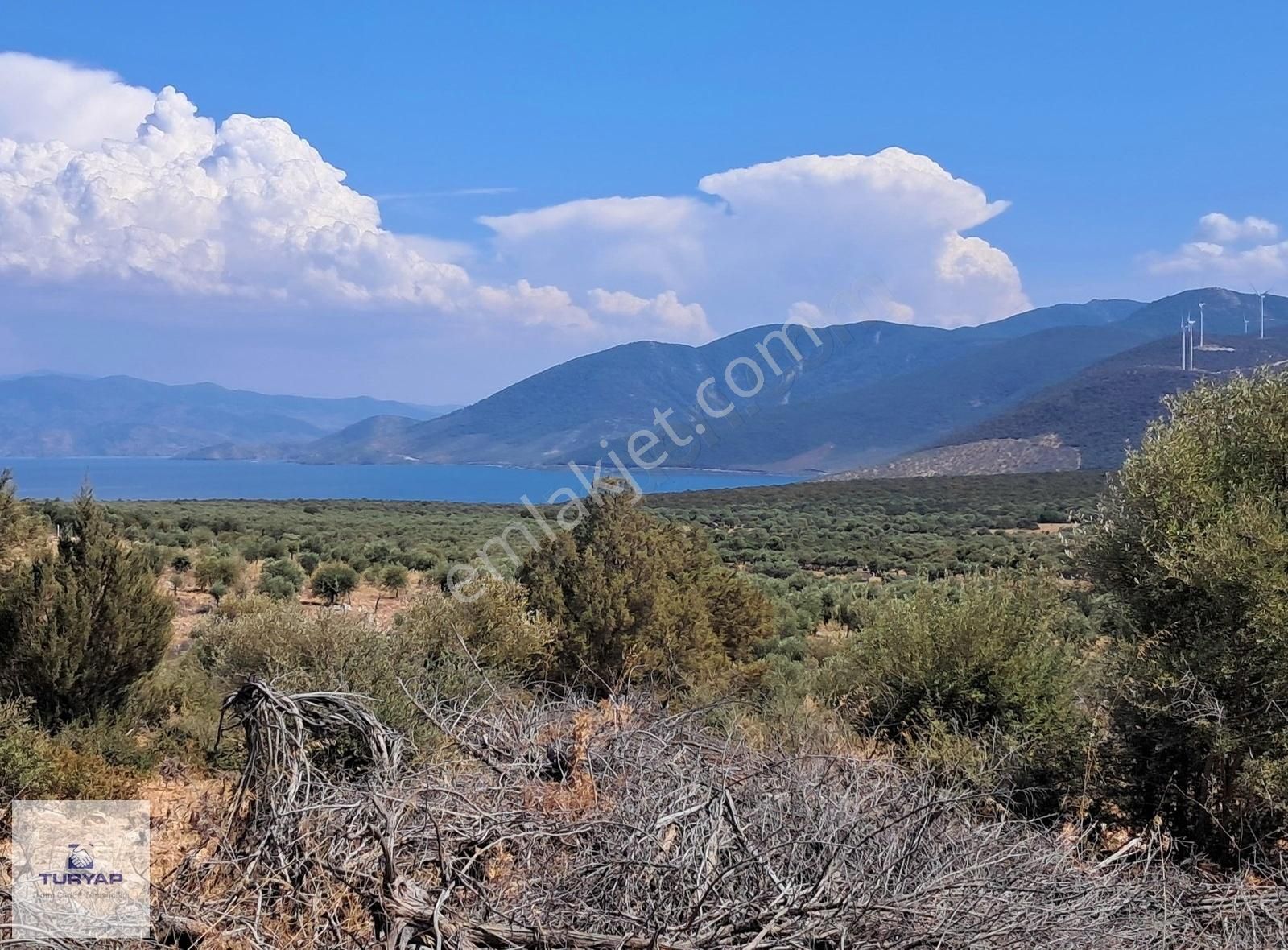 Aydın Didim Akyeniköy Bozseki 2.850 M2 Satılık Arsa Emsalsız - Görsel 9