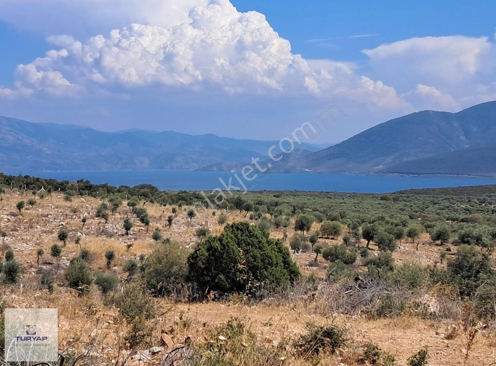Aydın Didim Akyeniköy Bozseki 2.850 M2 Satılık Arsa Emsalsız - Görsel 4