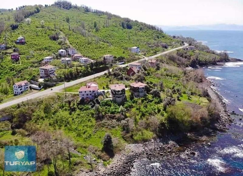 Perşembe Çaytepe Kiralık Daire ORDU PERŞEMBE YASONDA HAYALİNİZDEKİ EŞYALI KİRALIK DAİRE