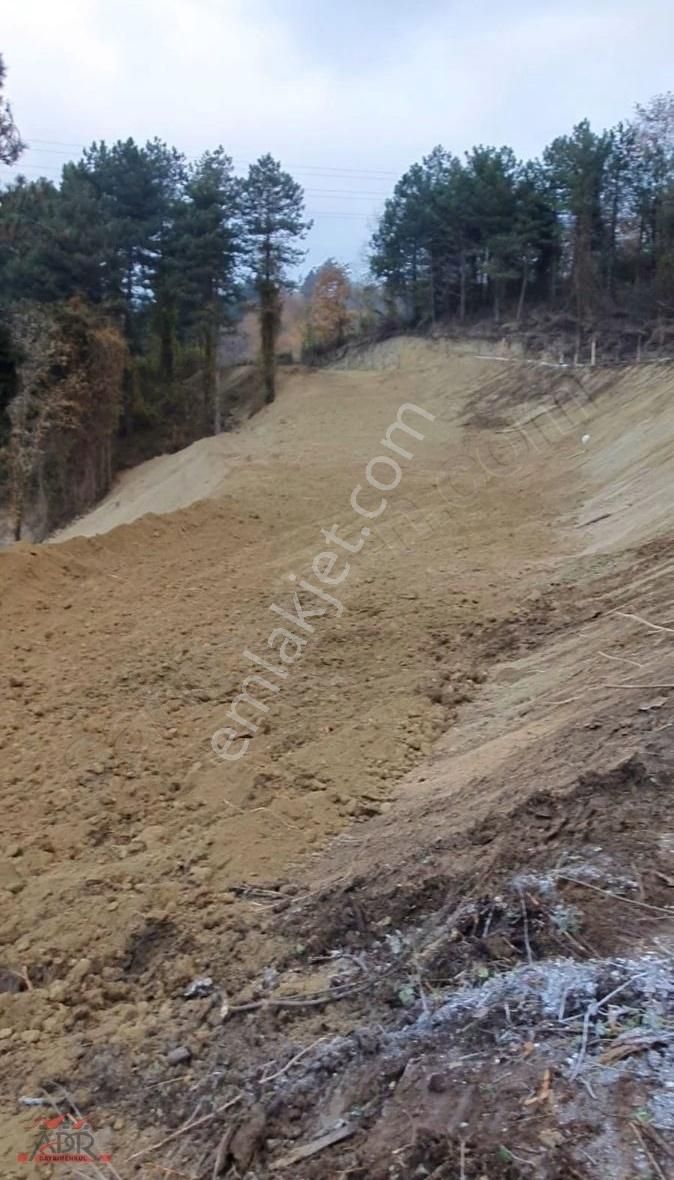 Geyve İlimbey Mah 8754 M2 Satılık Arsa - Görsel 3