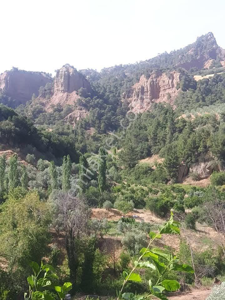 Salihli Sart ,başlıoğlu Mah Satılık Arazi - Görsel 31
