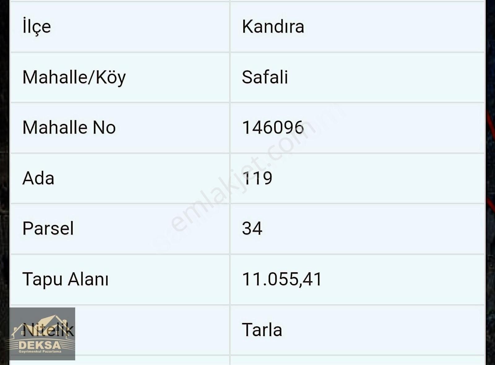 Kandıra Safalı Satılık Tarla KANDIRA SAFALI DA YOLA CEPHE KELEPİR 11 DÖNÜM FINDIKLIK