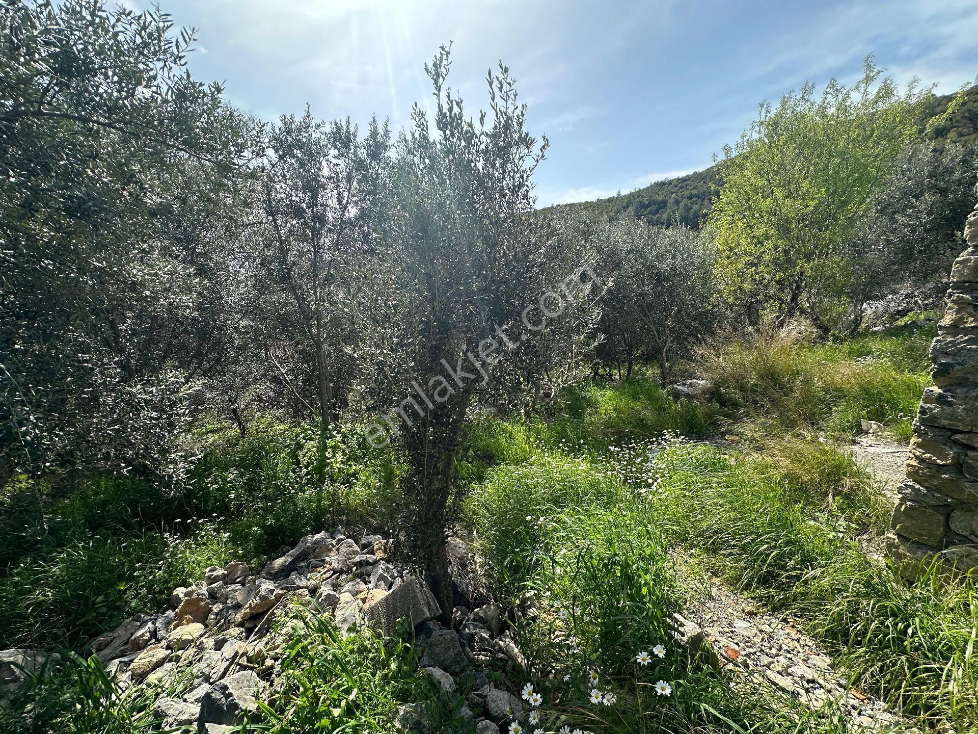 390 M2 Arsa Üzeri 4+1 Duplex Ev - Görsel 20