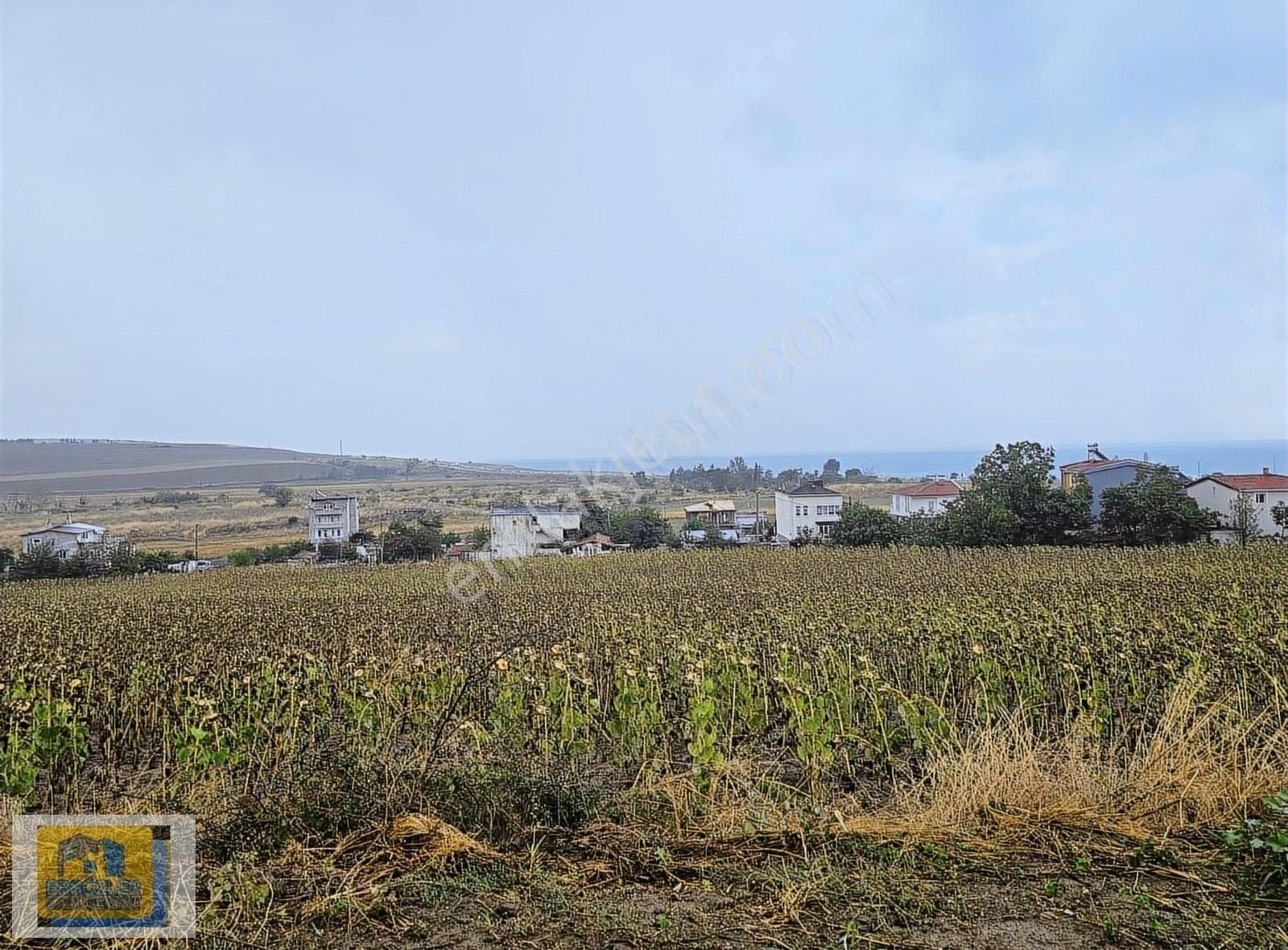 Süleymanpaşa Karaevli Satılık Konut İmarlı TEKİRDAĞ SÜLEYMANPAŞA KARAEVLİDE ARSA