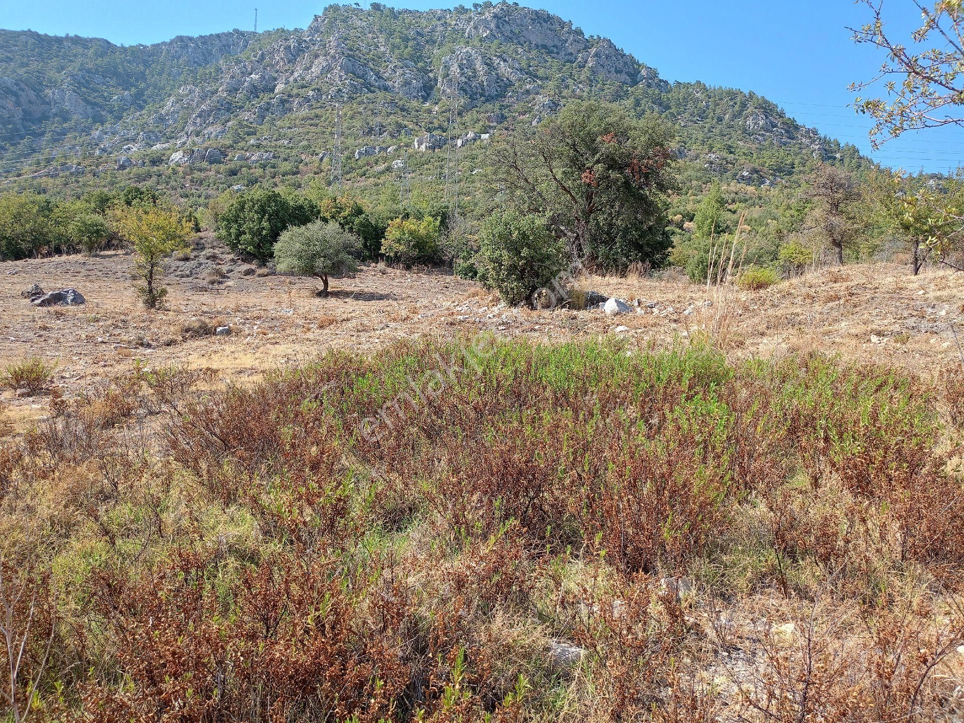 Tek Tapu Deniz Manzaralı Anayol Cephe Li - Görsel 11