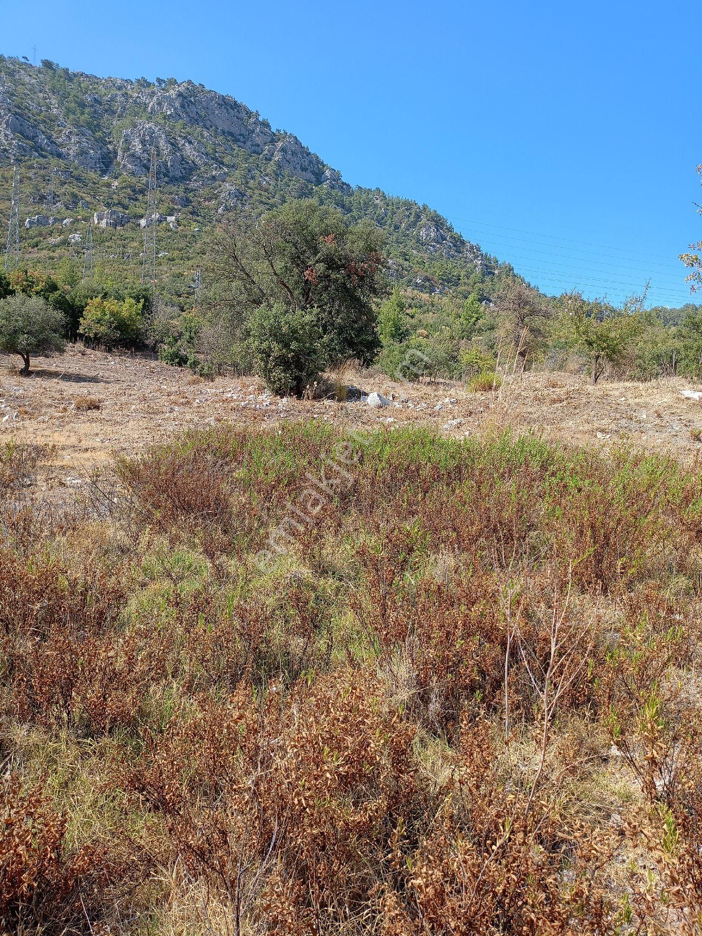 Tek Tapu Deniz Manzaralı Anayol Cephe Li - Görsel 21