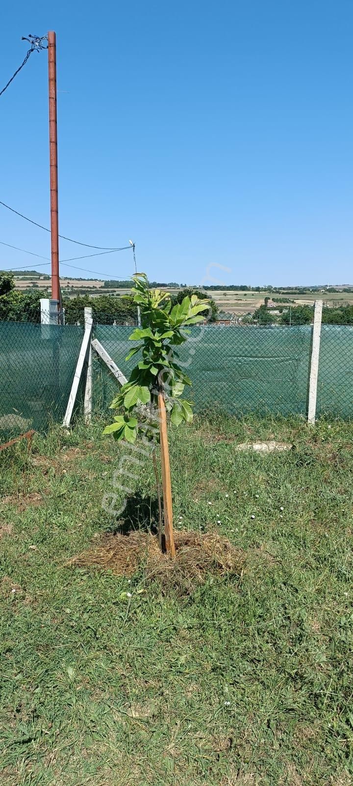 Balcıoğlundan Kestanelikte Satılık 459 M2 Arsa İçinde 3+1 Ev - Görsel 2