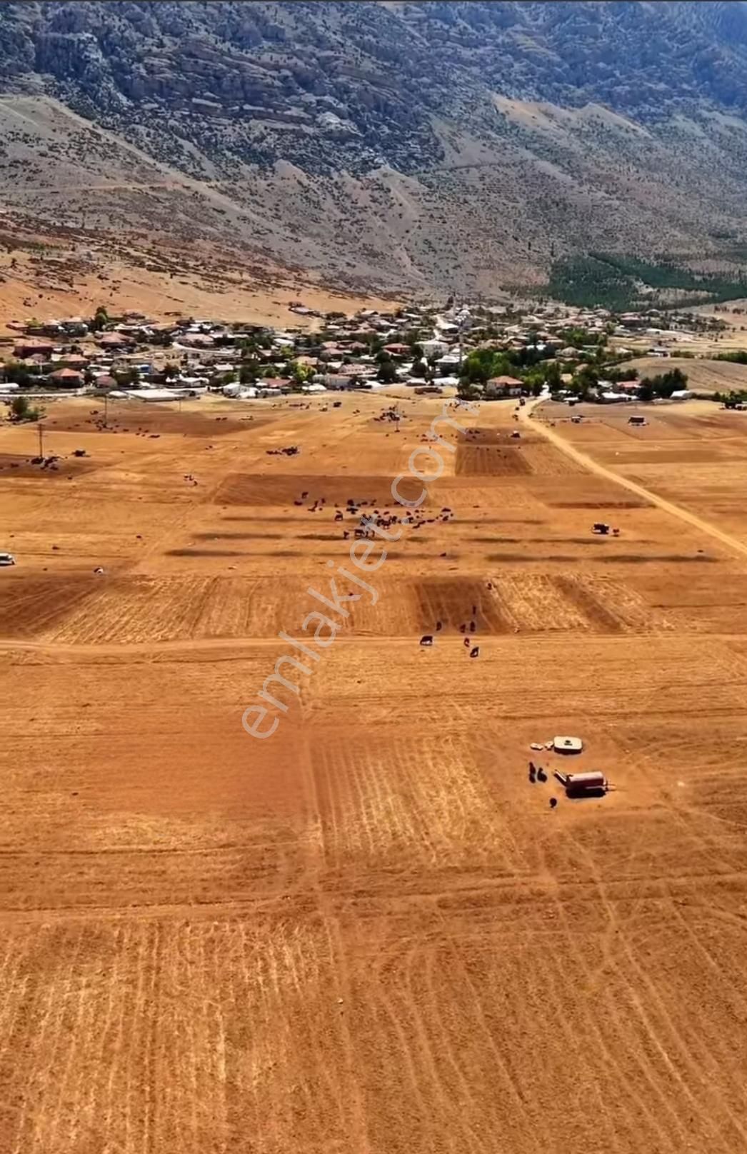 Korkuteli İmecik Satılık Tarla ANTALYA KORKUTELİ İMECİK'TE ASFALT YOLA CEPHE YERLESİME 100 SATILIK ARAZİ 