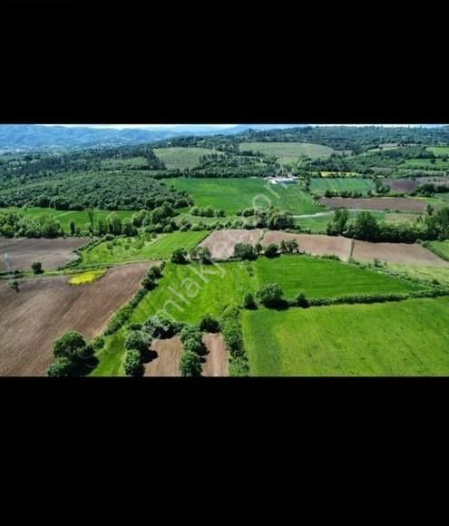 Seferihisar Tepecik Satılık Ticari İmarlı İZMİR SEFERİHİSAR'DA KAT KARŞILIĞI ARSA