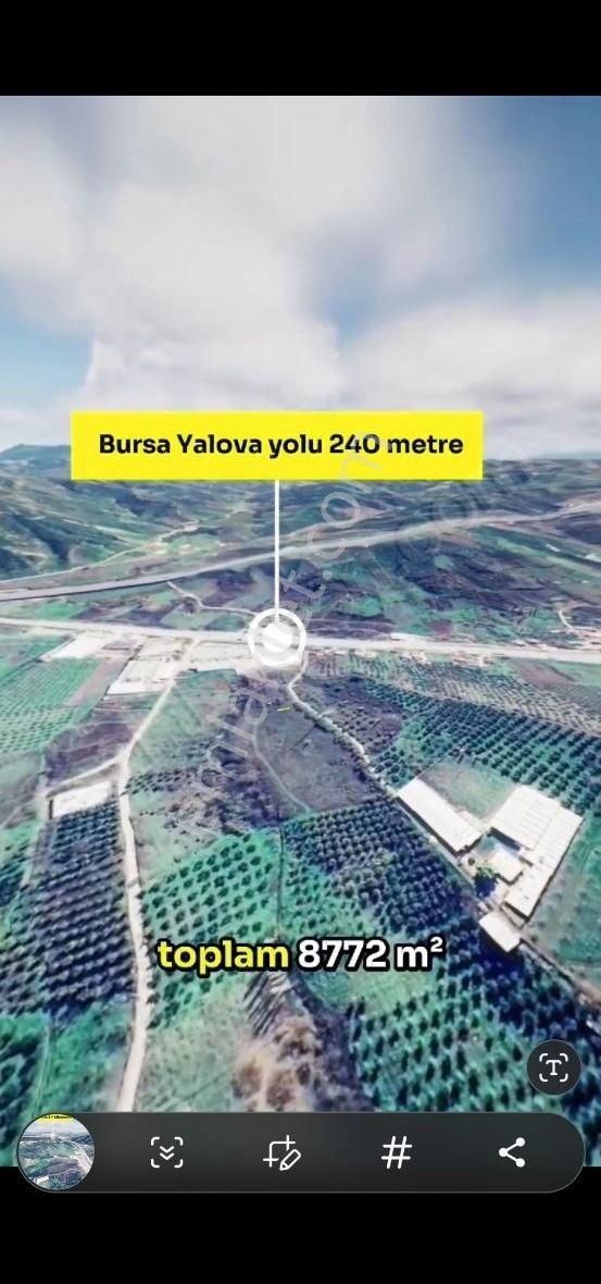 Gemlik Kurtul Satılık Tarla Gemlik Kurtulda 8773 M2 Satılık Arazi