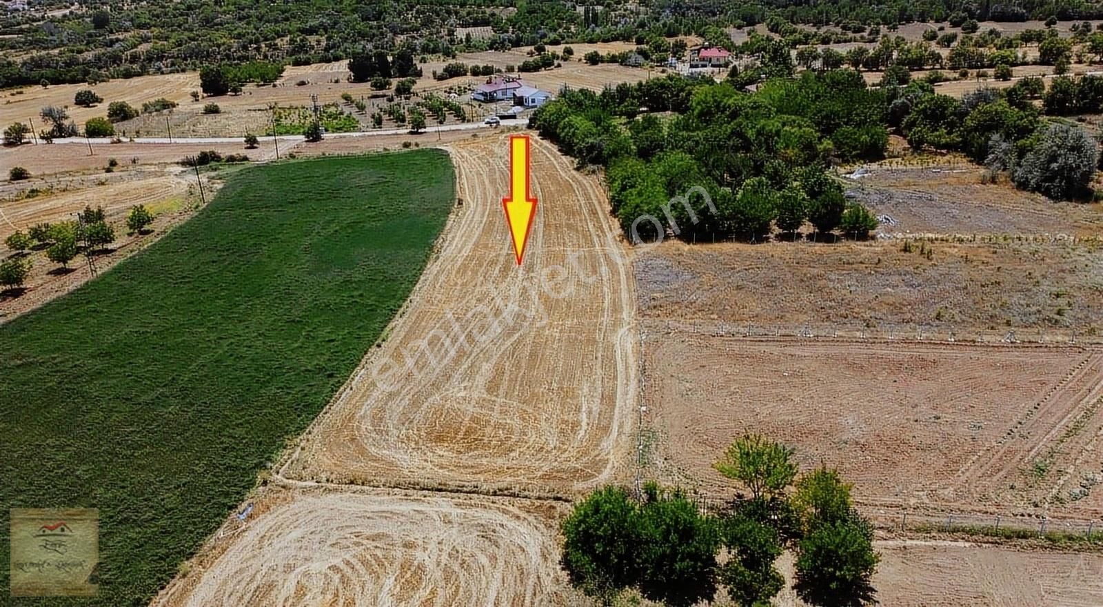 Elazığ Merkez Sünköy Köyü (Merkez) Satılık Tarla [EMRE GAYRİMENKUL] DEN SÜN KÖYÜNDE SATILIK TARLA