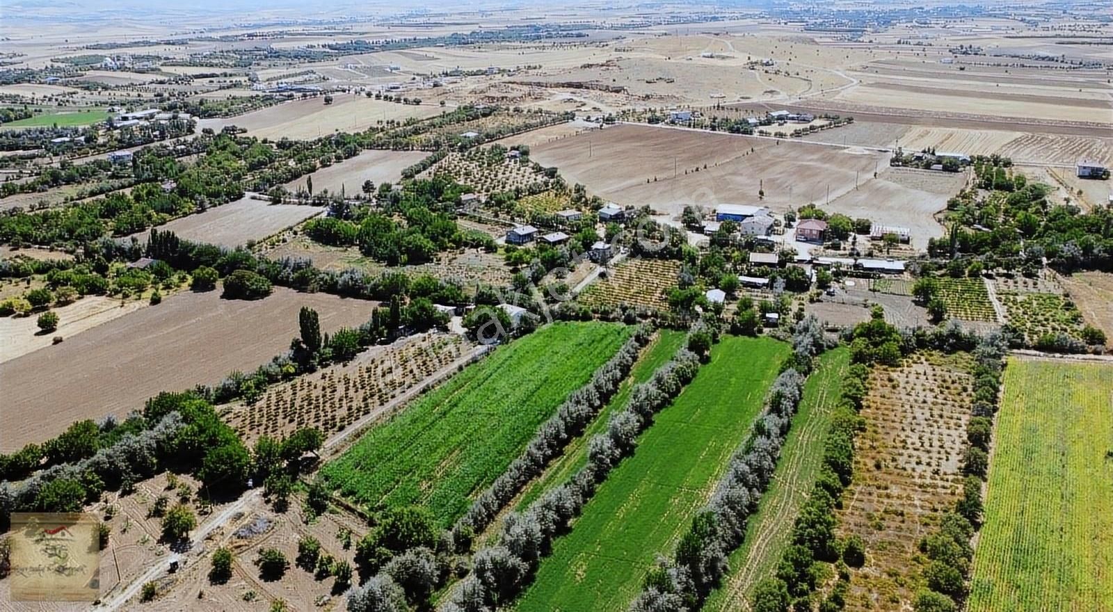 Elazığ Merkez Pelteköy Köyü Satılık Tarla [emre Gayrimenkul] Den Pelte Köyünde Bahçe Yeri