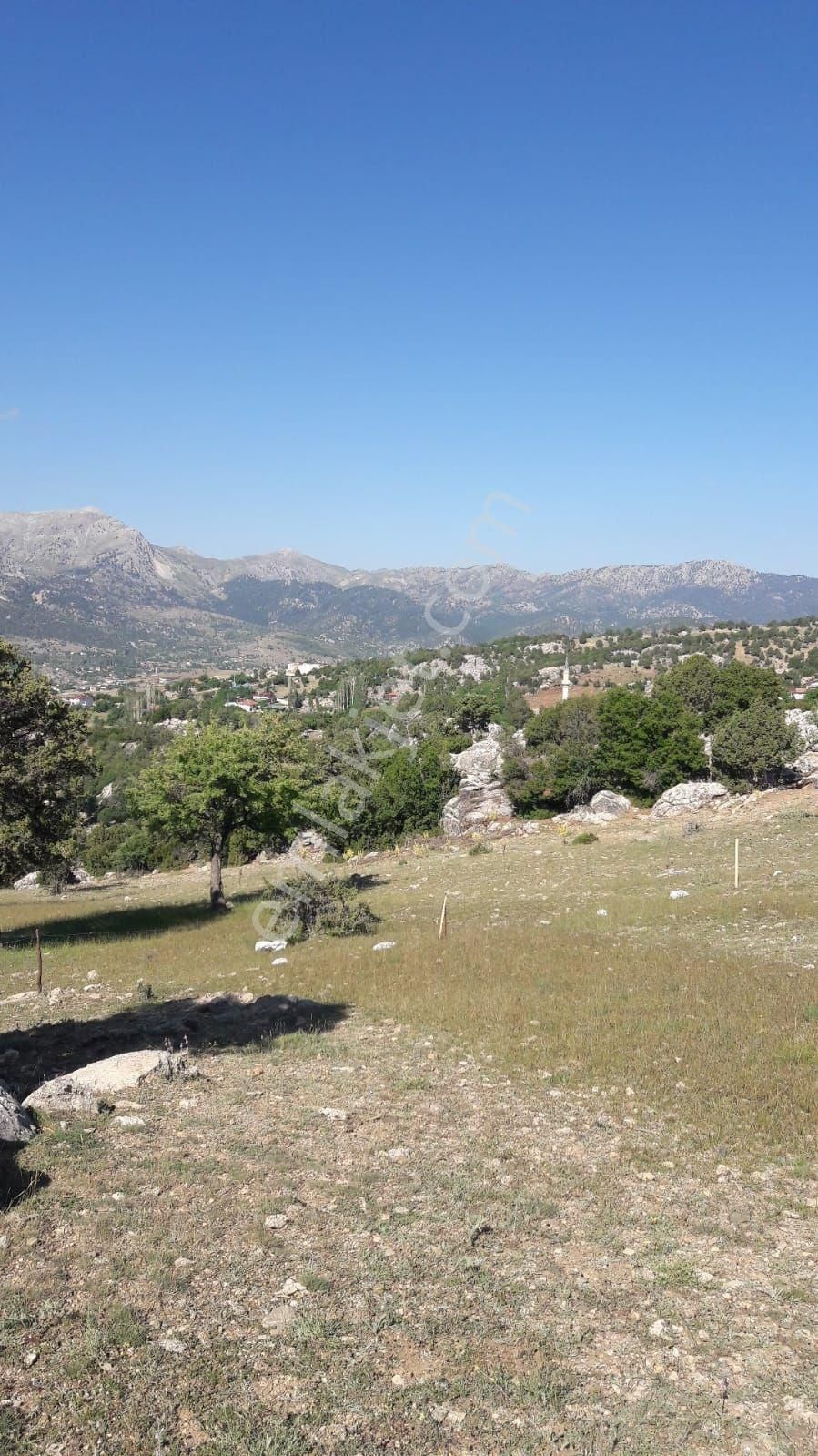 Yayla Karaçulha Karahasantaşı Merkezde Satılık 400 M2 Ve 400m2 Müstakil 2 Tane 2b Parsel - Görsel 3