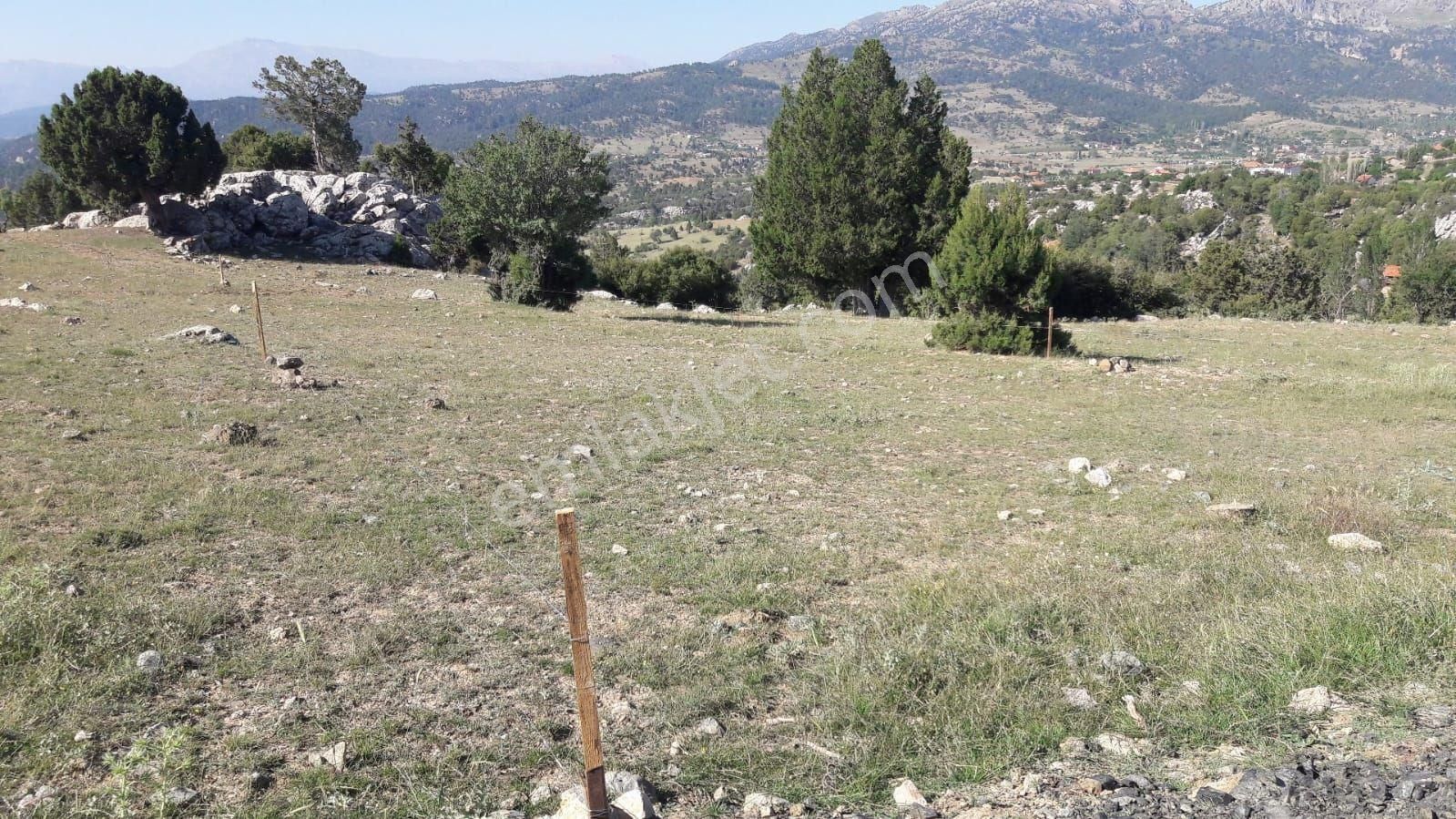 Yayla Karaçulha Karahasantaşı Merkezde Satılık 400 M2 Ve 400m2 Müstakil 2 Tane 2b Parsel - Görsel 2