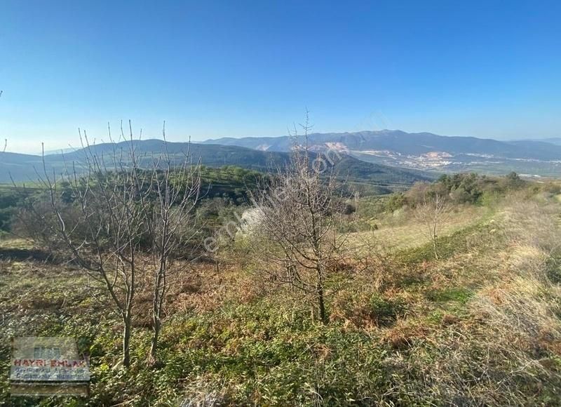 Gemlik Güvenli Köyünde Göl Manzaralı Satılık Tarla - Görsel 21