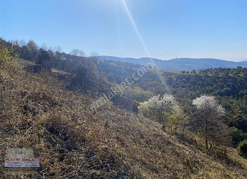 Gemlik Güvenli Köyünde Göl Manzaralı Satılık Tarla - Görsel 12