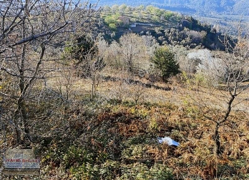 Gemlik Güvenli Köyünde Göl Manzaralı Satılık Tarla - Görsel 6