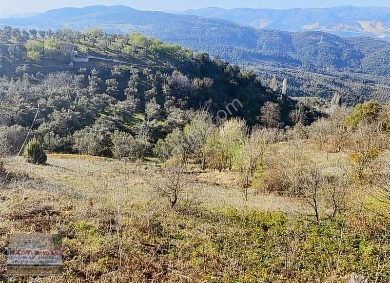 Gemlik Güvenli Köyünde Göl Manzaralı Satılık Tarla - Görsel 3
