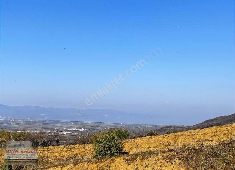 Gemlik Güvenli Köyünde Göl Manzaralı Satılık Tarla - Görsel 7
