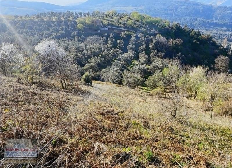 Gemlik Güvenli Köyünde Göl Manzaralı Satılık Tarla - Görsel 11