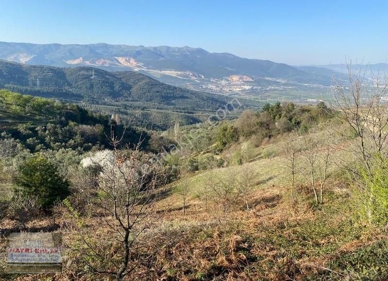 Gemlik Güvenli Köyünde Göl Manzaralı Satılık Tarla - Görsel 17