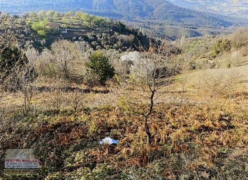 Gemlik Güvenli Köyünde Göl Manzaralı Satılık Tarla - Görsel 19