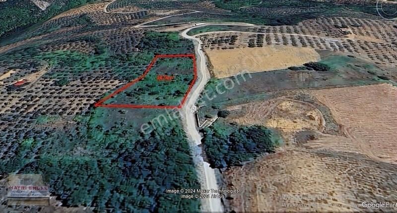 Gemlik Güvenli Köyünde Göl Manzaralı Satılık Tarla - Görsel 15