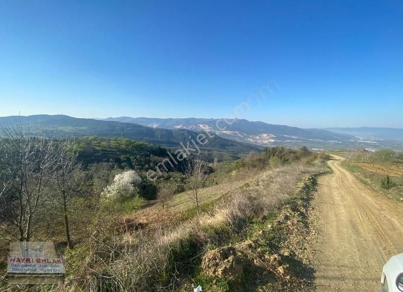 Gemlik Güvenli Köyünde Göl Manzaralı Satılık Tarla - Görsel 18