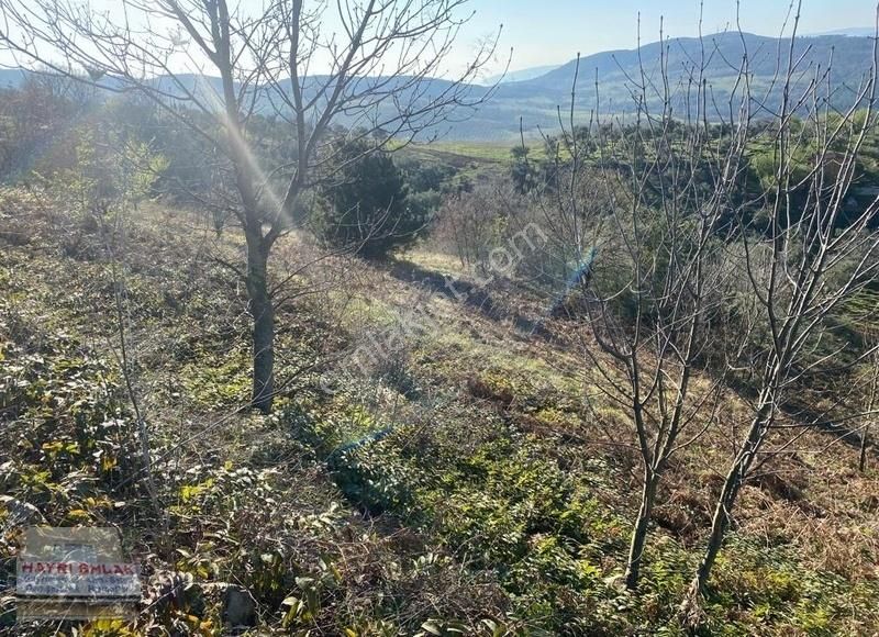 Gemlik Güvenli Köyünde Göl Manzaralı Satılık Tarla - Görsel 10