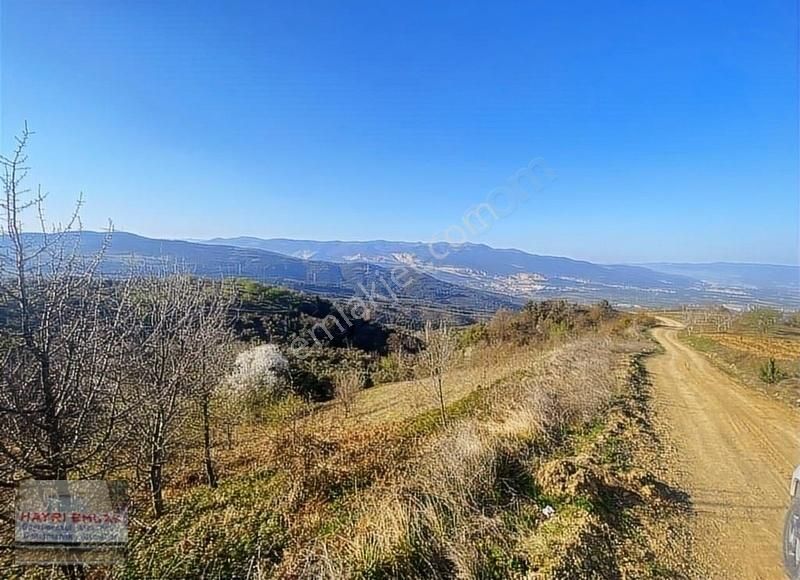 Gemlik Güvenli Köyünde Göl Manzaralı Satılık Tarla - Görsel 20