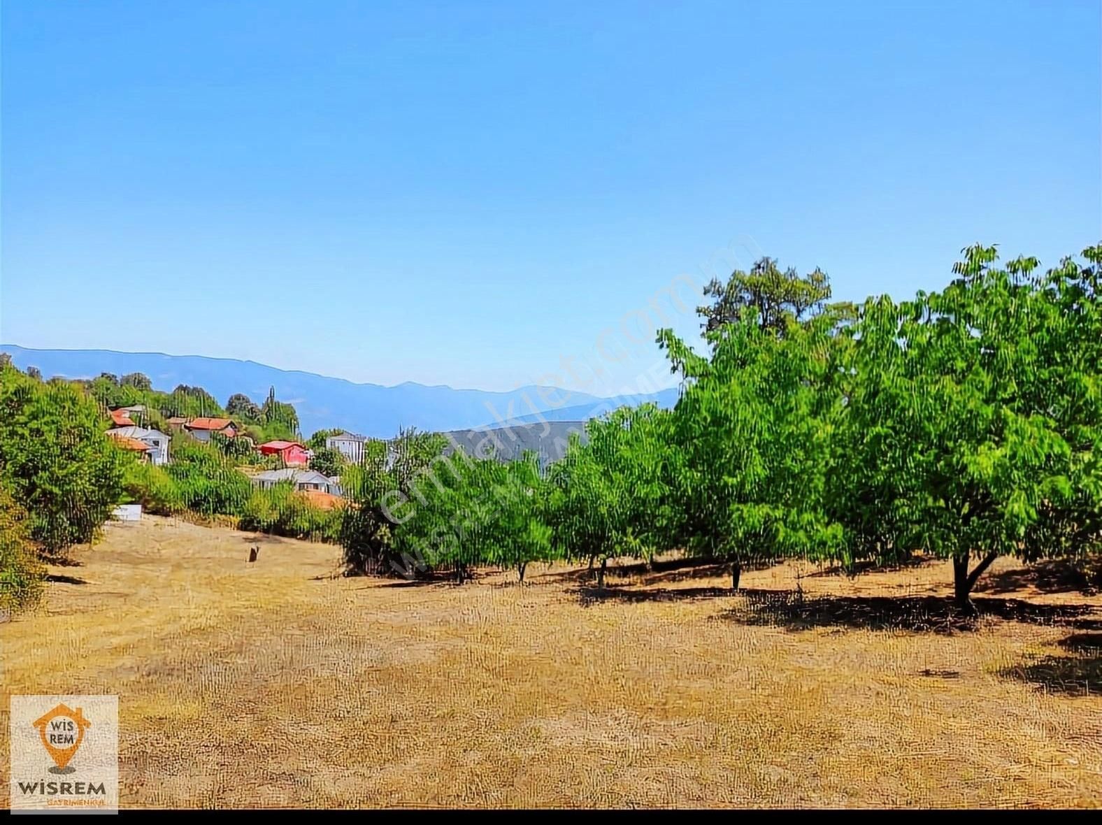 Geyve Suçatı Satılık Konut İmarlı SAKARYA GEYVE SUÇATI KÖYÜNDE İMARLI FIRSAT ARSA!!