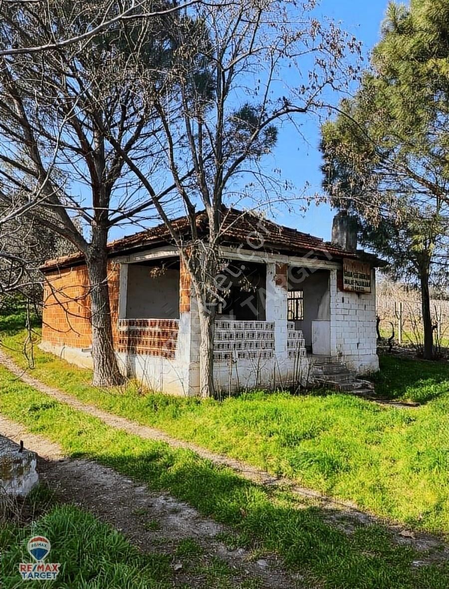 Turgutlu İzzettin Satılık Bağ & Bahçe MANİSA TURGUTLU'DA SATİLİK ÜZÜM BAĞI VE ZEYTİN AĞAÇ'LI TARLA