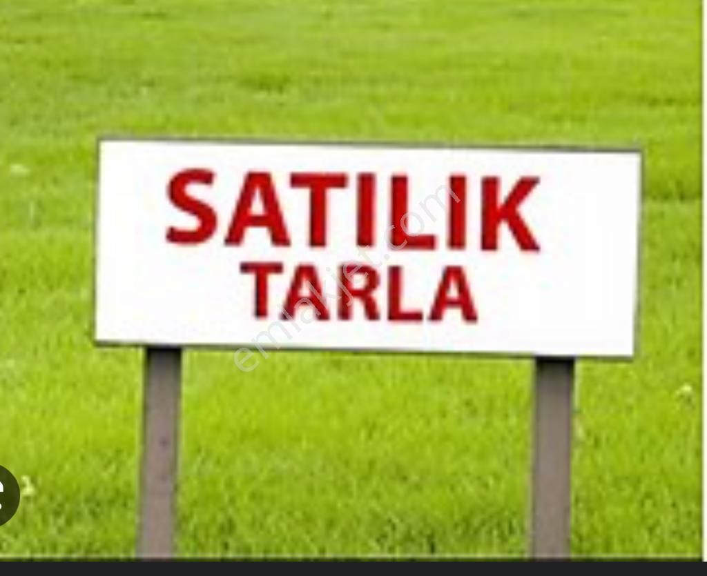 Manavgat Evrenleryavşı Satılık Tarla  Antalya Manavgat Evrenler Yavşi Satılık Tek Tapu Tarla