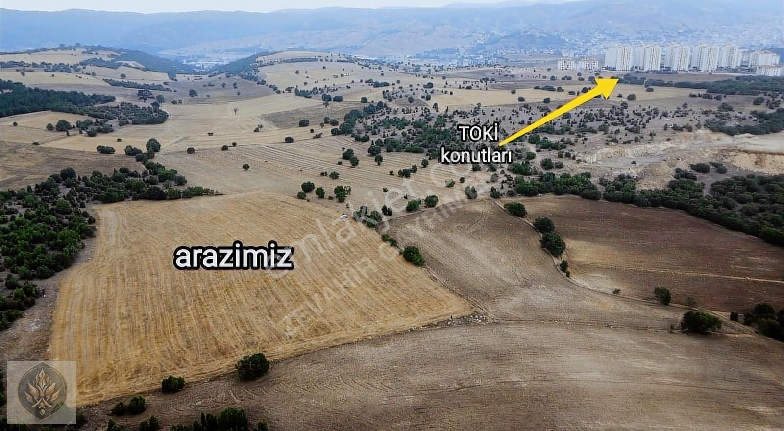 Bozüyük Yenidoğan Satılık Tarla BOZÜYÜK ÇARŞI MAHALLE TOKİ KONUTLARINA 700 METRE UZAKLIKTA TARLA