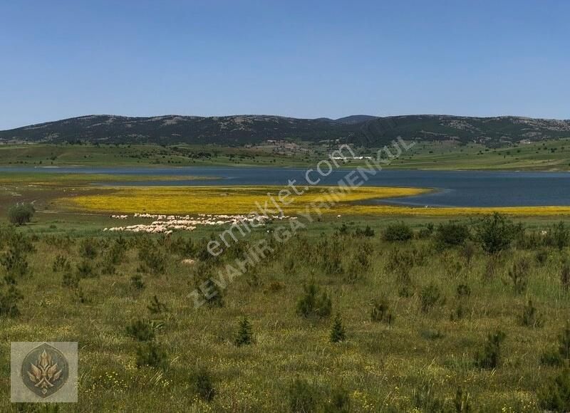 Bozüyük Dodurga Bld. (Mithatpaşa) Satılık Tarla DODURGA BARAJINA YAKIN 2 PARÇA TARLA