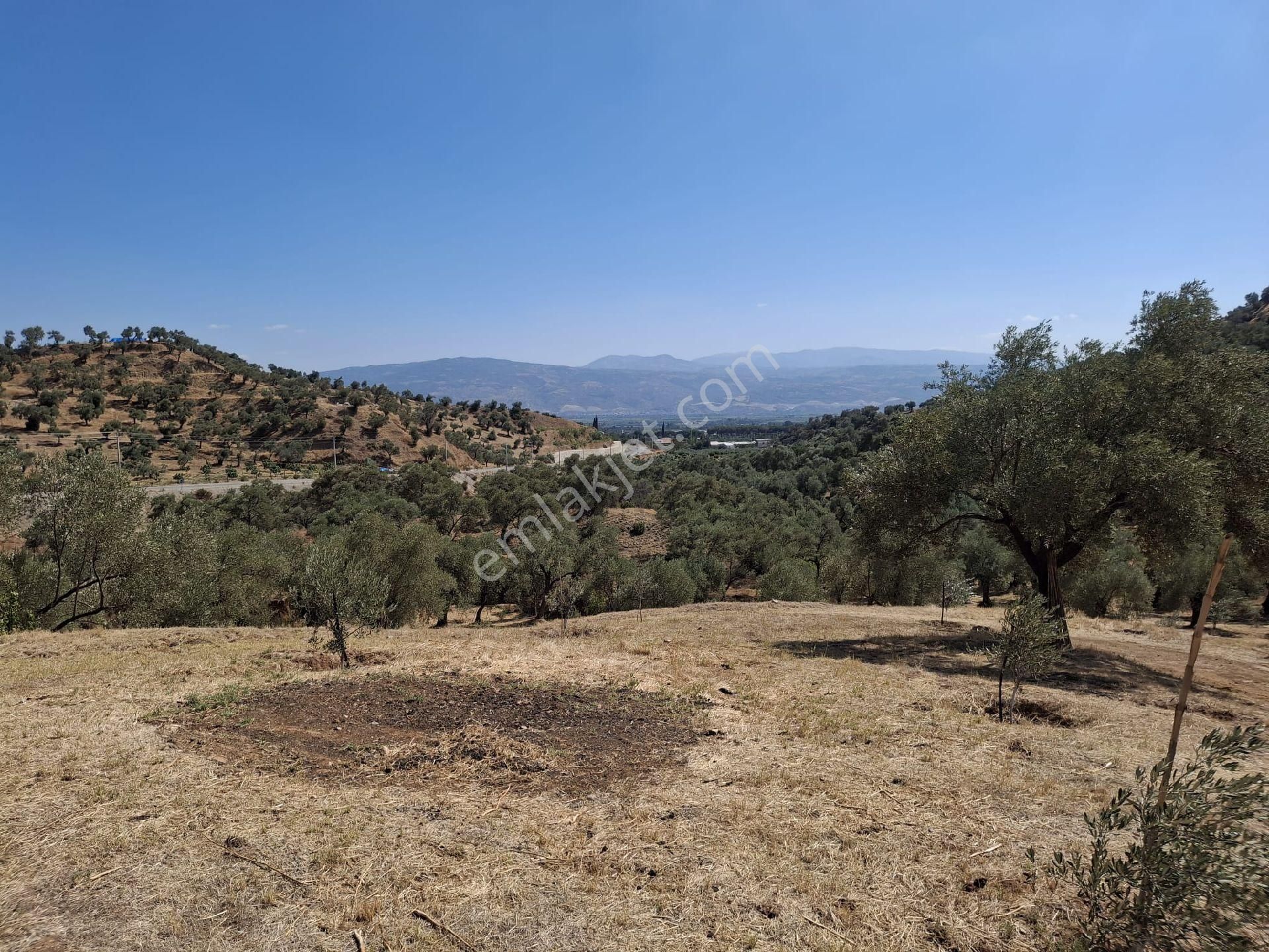 Aydın Sultanhisar Kavakli - Görsel 11