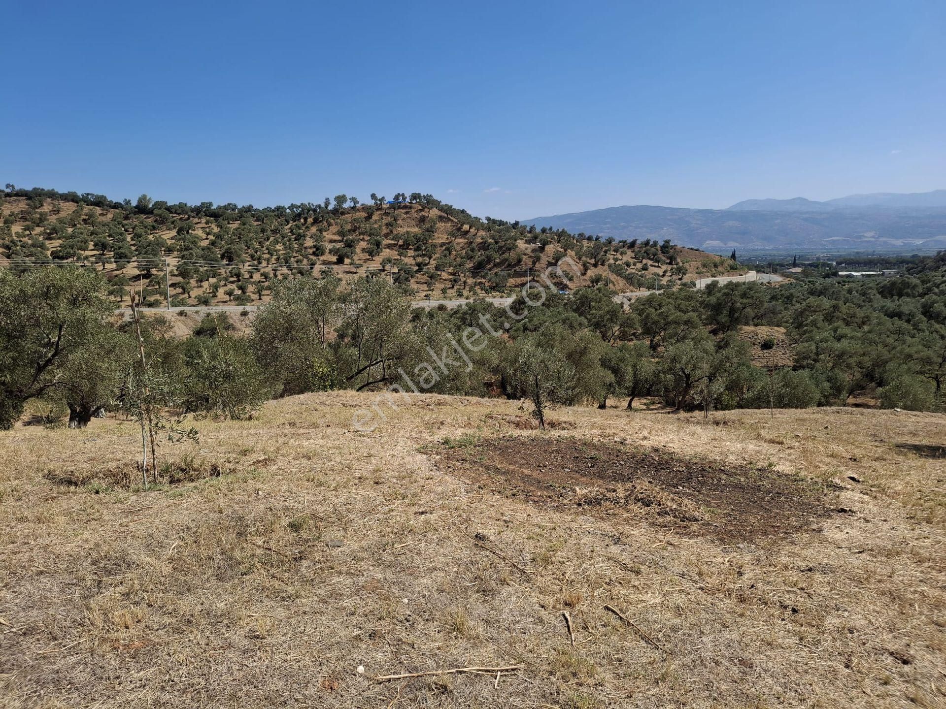 Aydın Sultanhisar Kavakli - Görsel 12