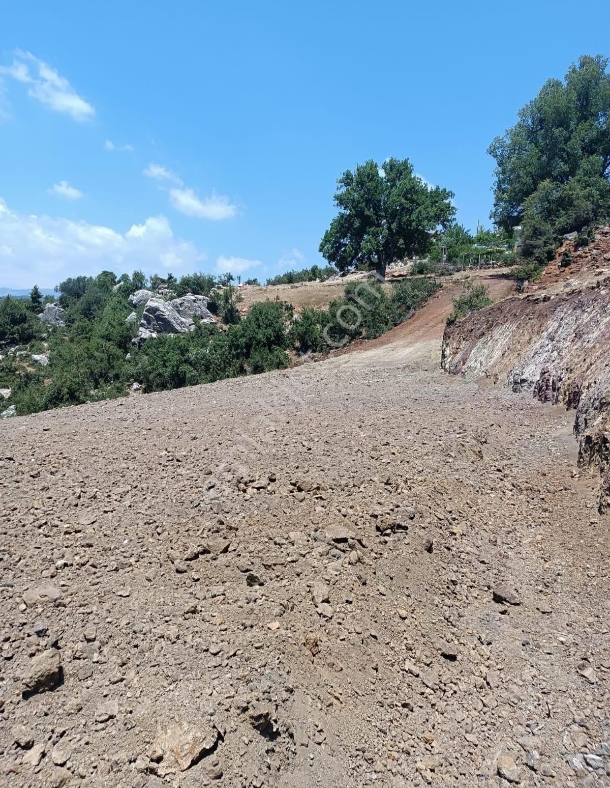 Toroslar Aladağ Satılık Bağ & Bahçe Toroslar Aladağ Da Yatırımlık Satılık Arsa